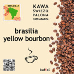kawa arabica Brasilia Yellow Bourbon
