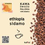 kawa arabica Ethiopia Sidamo