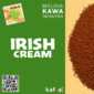 Kawa smakowa Dublin Irish Cream