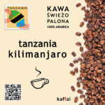 kawa arabica Tanzania Kilimanjaro